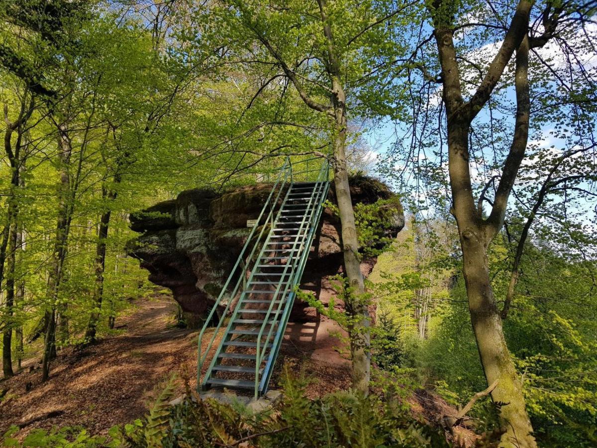 Schoene Ferienwohnung Mitten Im Pfaelzerwaldgebiet Leimen  Esterno foto