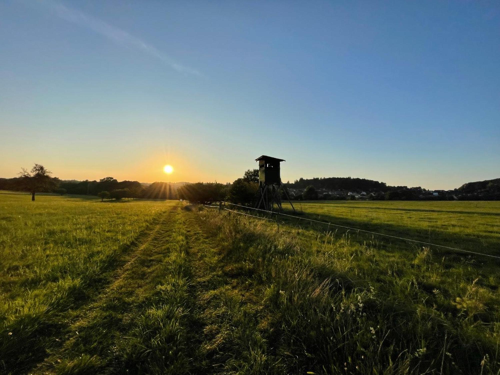 Schoene Ferienwohnung Mitten Im Pfaelzerwaldgebiet Leimen  Esterno foto